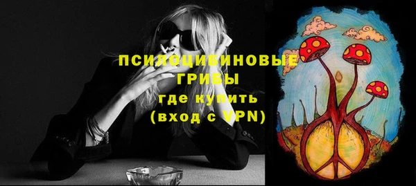 PSILOCYBIN Аркадак