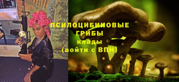 PSILOCYBIN Аркадак