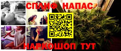 spice Кунгур