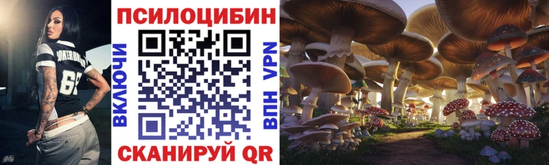 Псилоцибиновые грибы Magic Shrooms  даркнет сайт  Светлоград 